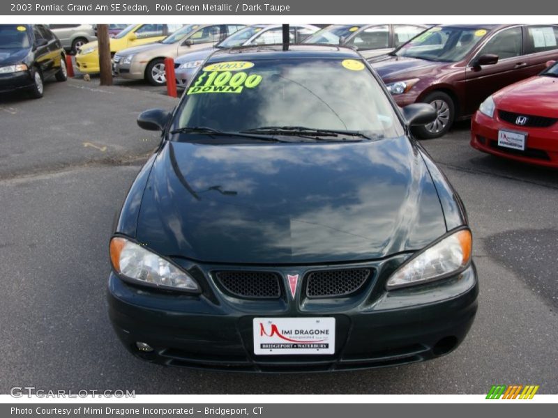 Polo Green Metallic / Dark Taupe 2003 Pontiac Grand Am SE Sedan