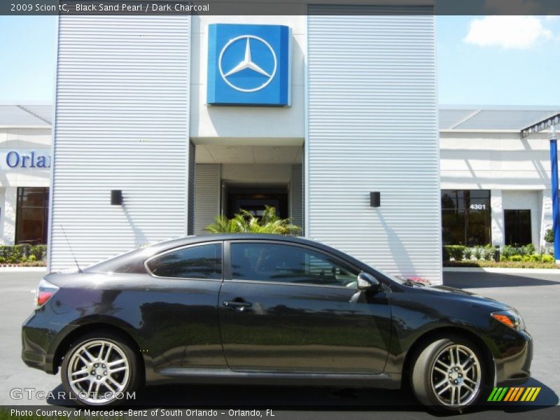  2009 tC  Black Sand Pearl