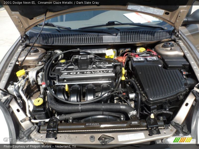 Cinnamon Glaze Metallic / Dark Slate Gray 2001 Dodge Neon ES