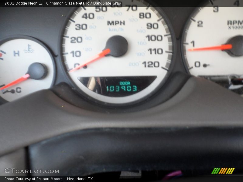 Cinnamon Glaze Metallic / Dark Slate Gray 2001 Dodge Neon ES