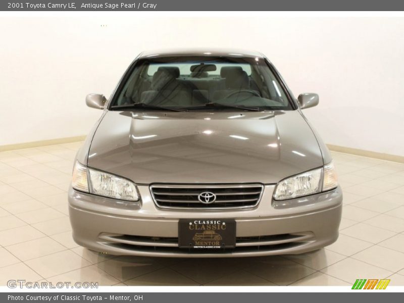 Antique Sage Pearl / Gray 2001 Toyota Camry LE