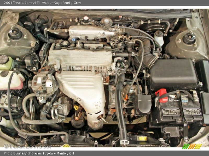 Antique Sage Pearl / Gray 2001 Toyota Camry LE