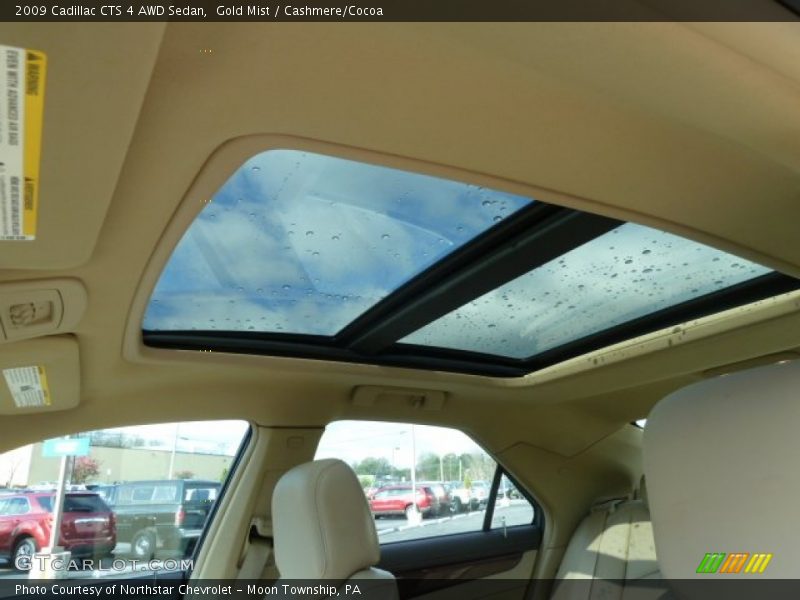 Gold Mist / Cashmere/Cocoa 2009 Cadillac CTS 4 AWD Sedan