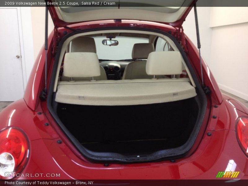 Salsa Red / Cream 2009 Volkswagen New Beetle 2.5 Coupe