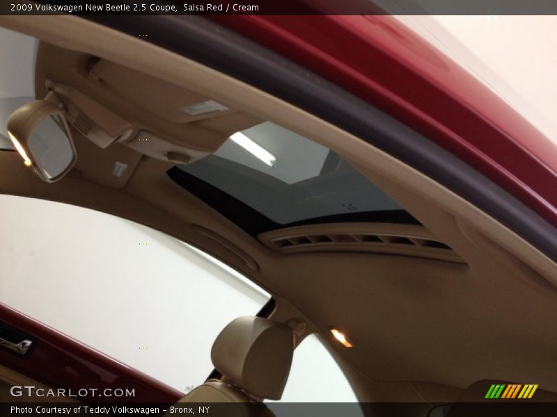 Salsa Red / Cream 2009 Volkswagen New Beetle 2.5 Coupe