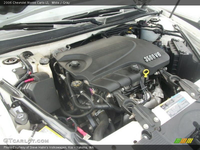 White / Gray 2006 Chevrolet Monte Carlo LS
