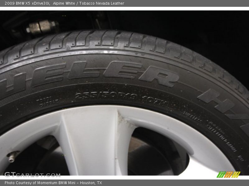 Alpine White / Tobacco Nevada Leather 2009 BMW X5 xDrive30i