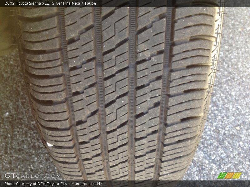Silver Pine Mica / Taupe 2009 Toyota Sienna XLE