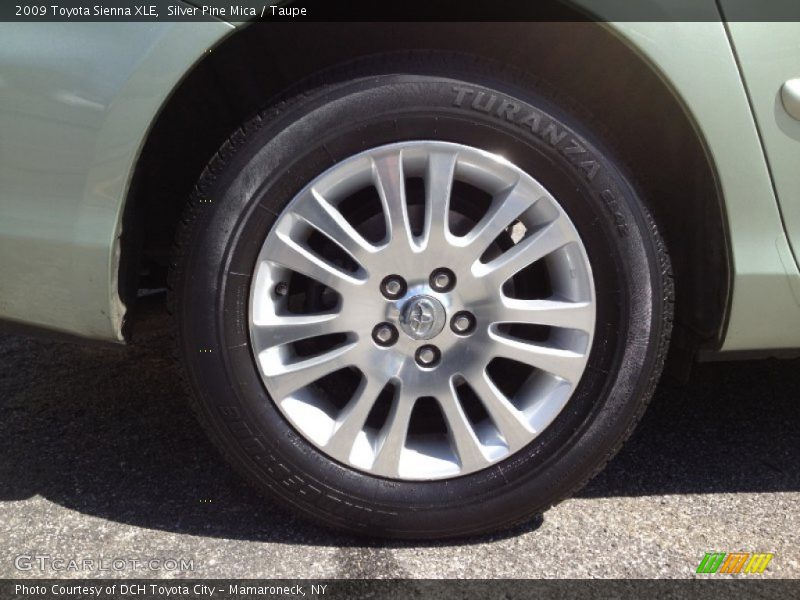 Silver Pine Mica / Taupe 2009 Toyota Sienna XLE
