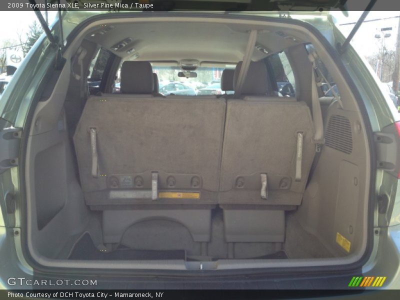 Silver Pine Mica / Taupe 2009 Toyota Sienna XLE