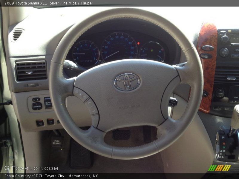 Silver Pine Mica / Taupe 2009 Toyota Sienna XLE
