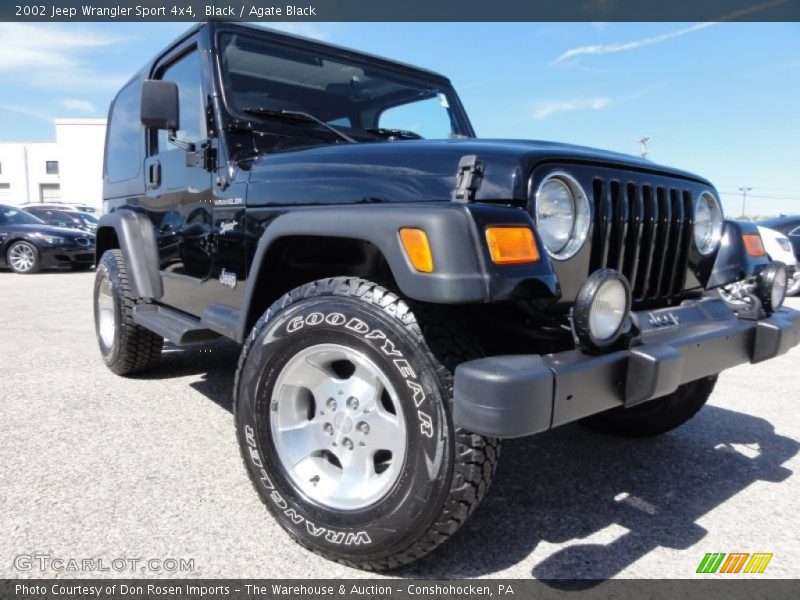 Black / Agate Black 2002 Jeep Wrangler Sport 4x4