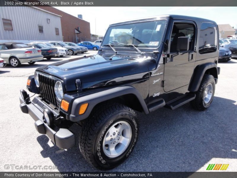 Black / Agate Black 2002 Jeep Wrangler Sport 4x4