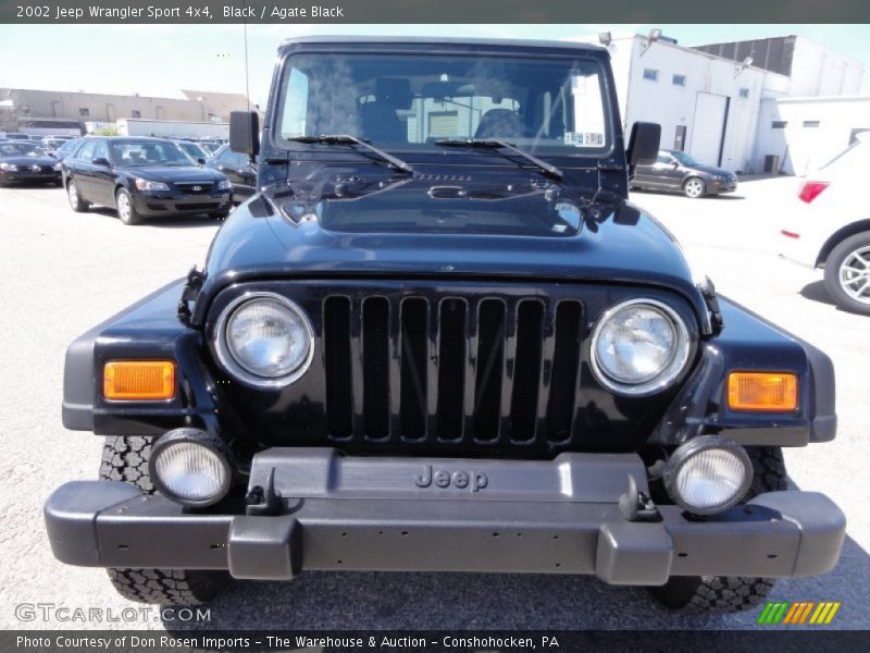 Black / Agate Black 2002 Jeep Wrangler Sport 4x4
