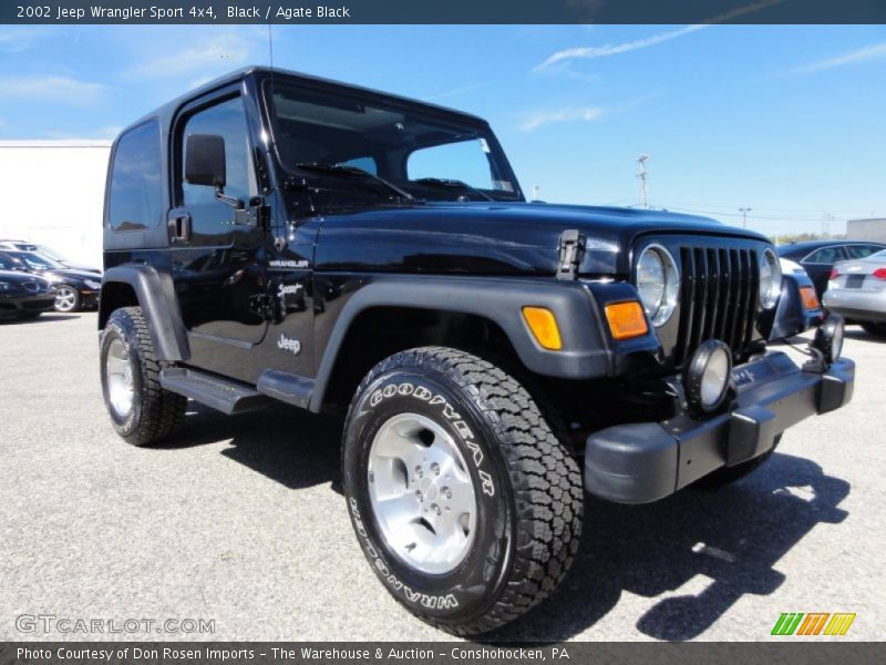Black / Agate Black 2002 Jeep Wrangler Sport 4x4