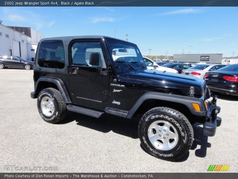 Black / Agate Black 2002 Jeep Wrangler Sport 4x4