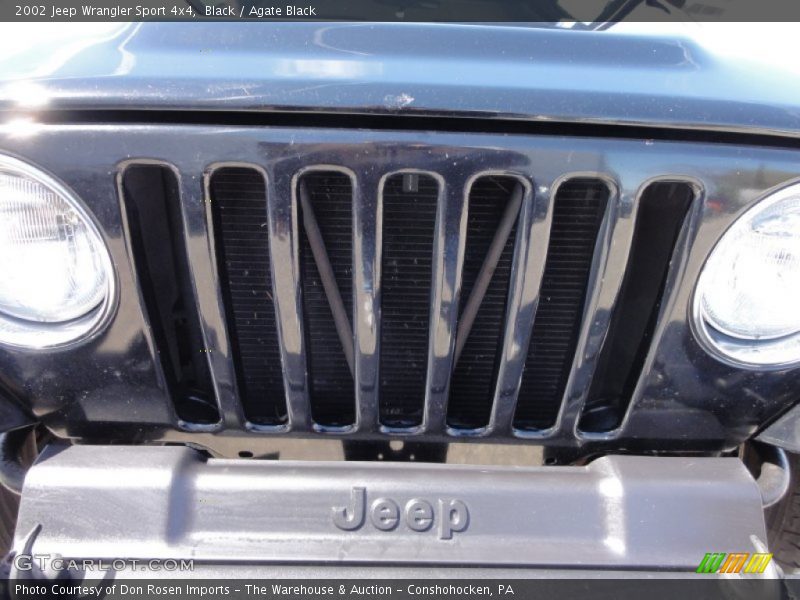Black / Agate Black 2002 Jeep Wrangler Sport 4x4