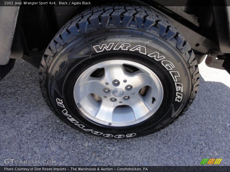 Black / Agate Black 2002 Jeep Wrangler Sport 4x4