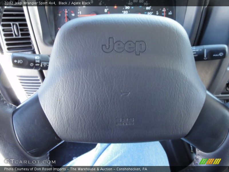 Black / Agate Black 2002 Jeep Wrangler Sport 4x4