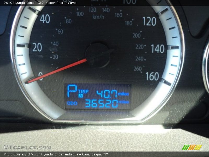 Camel Pearl / Camel 2010 Hyundai Sonata GLS