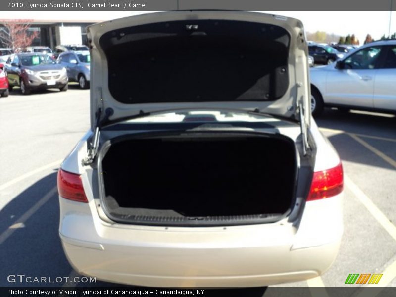 Camel Pearl / Camel 2010 Hyundai Sonata GLS