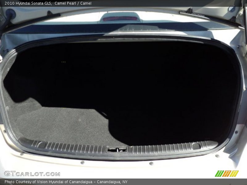Camel Pearl / Camel 2010 Hyundai Sonata GLS