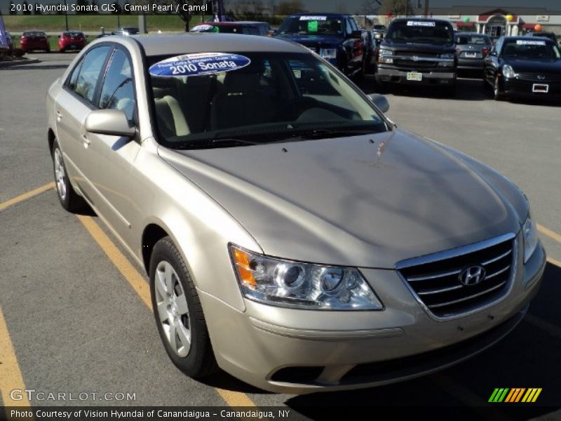 Camel Pearl / Camel 2010 Hyundai Sonata GLS