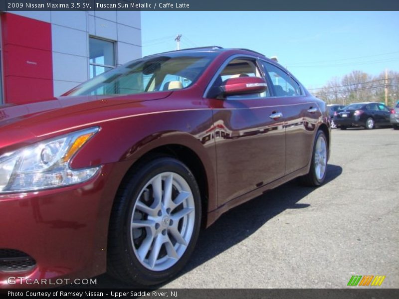 Tuscan Sun Metallic / Caffe Latte 2009 Nissan Maxima 3.5 SV