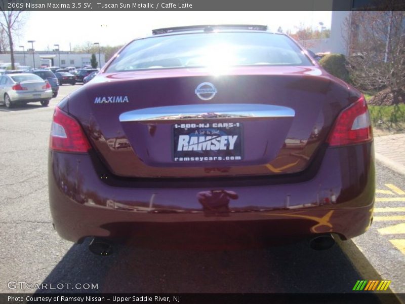 Tuscan Sun Metallic / Caffe Latte 2009 Nissan Maxima 3.5 SV