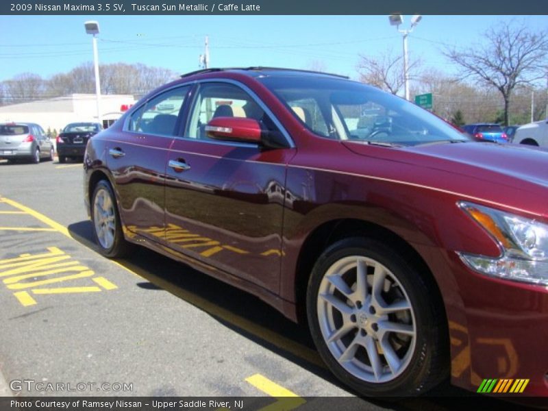 Tuscan Sun Metallic / Caffe Latte 2009 Nissan Maxima 3.5 SV