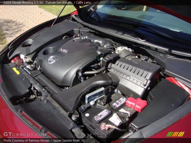 Tuscan Sun Metallic / Caffe Latte 2009 Nissan Maxima 3.5 SV