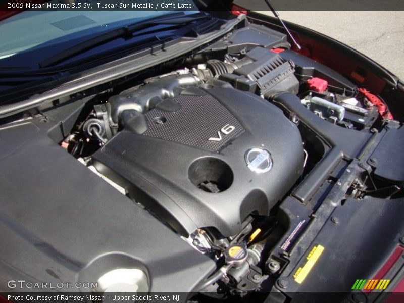 Tuscan Sun Metallic / Caffe Latte 2009 Nissan Maxima 3.5 SV