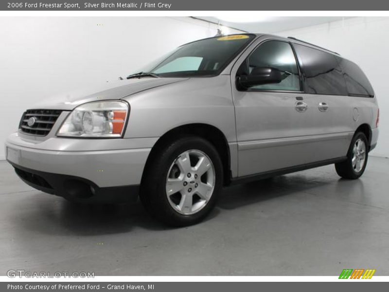 Silver Birch Metallic / Flint Grey 2006 Ford Freestar Sport