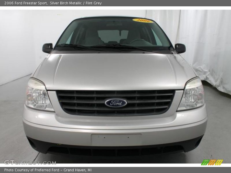 Silver Birch Metallic / Flint Grey 2006 Ford Freestar Sport