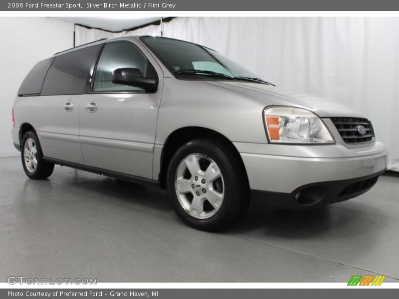 Silver Birch Metallic / Flint Grey 2006 Ford Freestar Sport