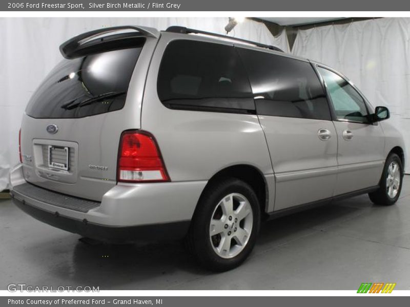Silver Birch Metallic / Flint Grey 2006 Ford Freestar Sport