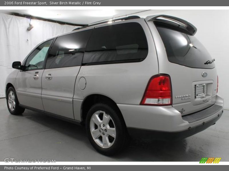 Silver Birch Metallic / Flint Grey 2006 Ford Freestar Sport