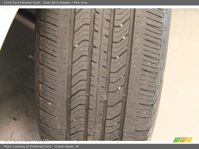 Silver Birch Metallic / Flint Grey 2006 Ford Freestar Sport