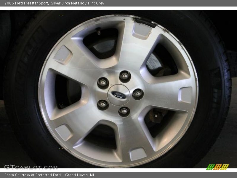 Silver Birch Metallic / Flint Grey 2006 Ford Freestar Sport