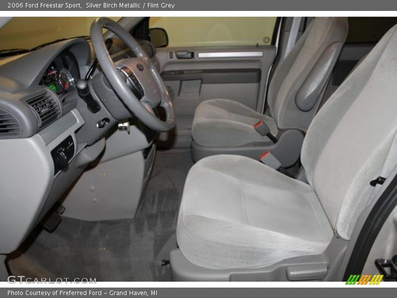 Silver Birch Metallic / Flint Grey 2006 Ford Freestar Sport