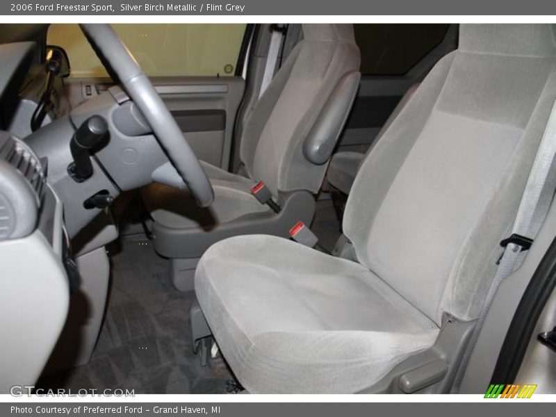 Silver Birch Metallic / Flint Grey 2006 Ford Freestar Sport