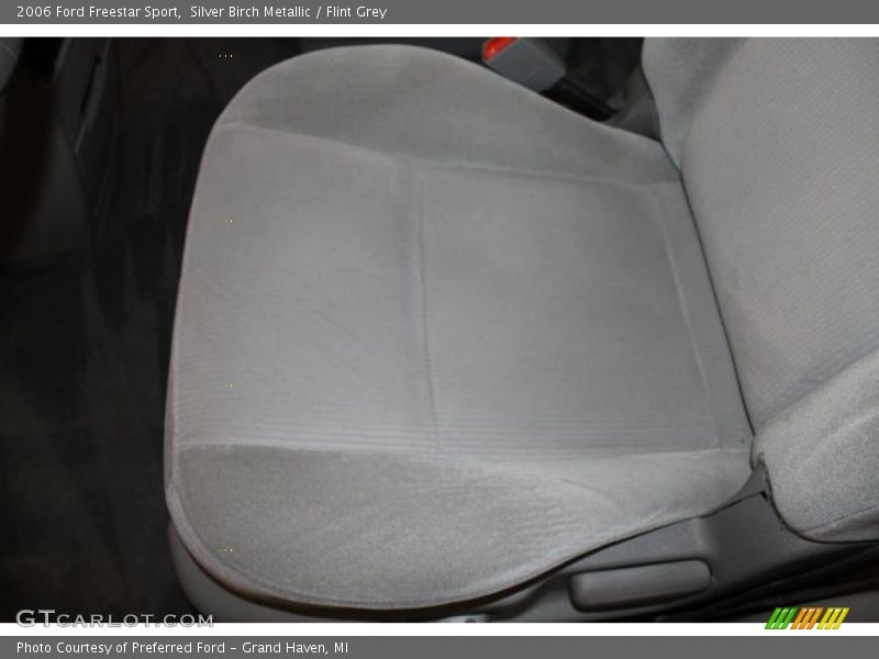 Silver Birch Metallic / Flint Grey 2006 Ford Freestar Sport