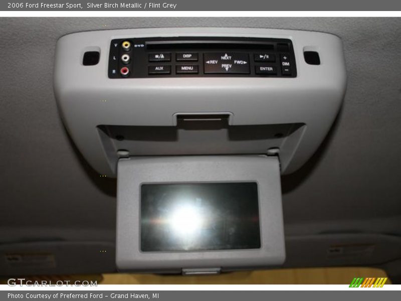 Silver Birch Metallic / Flint Grey 2006 Ford Freestar Sport