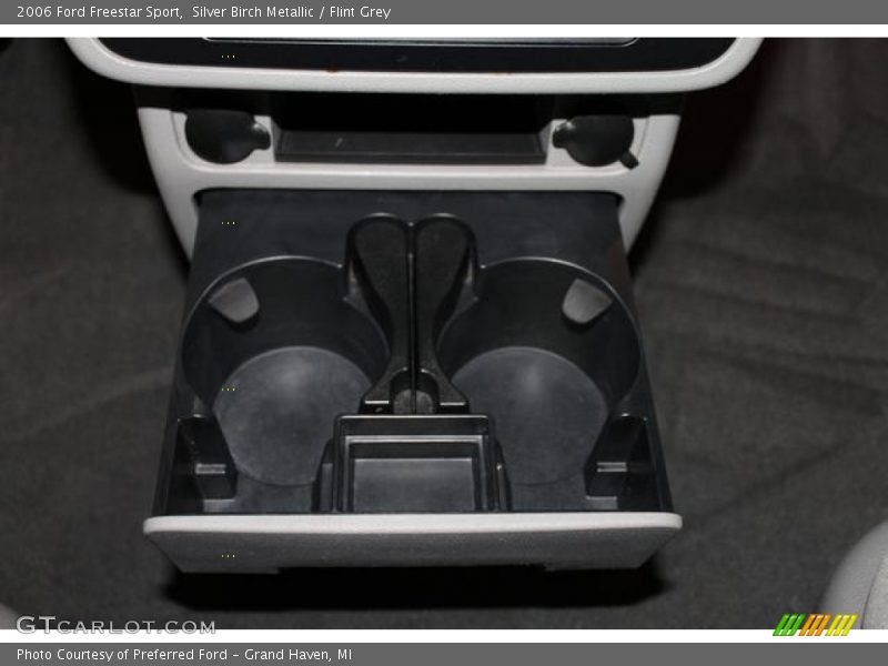 Silver Birch Metallic / Flint Grey 2006 Ford Freestar Sport