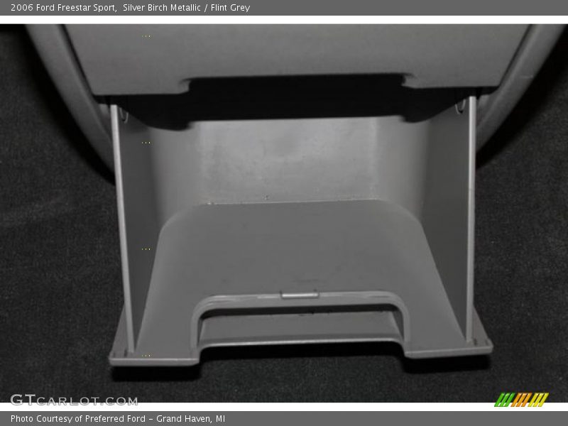 Silver Birch Metallic / Flint Grey 2006 Ford Freestar Sport