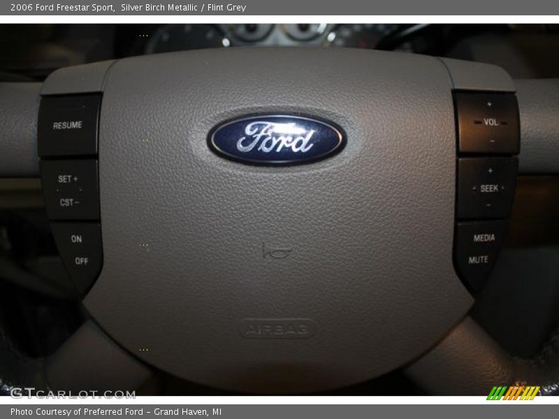 Silver Birch Metallic / Flint Grey 2006 Ford Freestar Sport