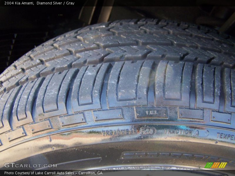 Diamond Silver / Gray 2004 Kia Amanti