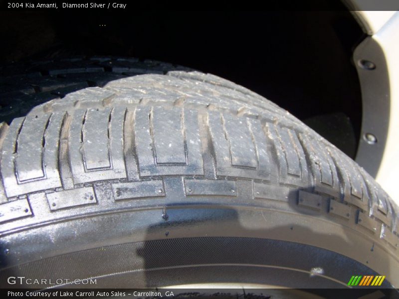 Diamond Silver / Gray 2004 Kia Amanti