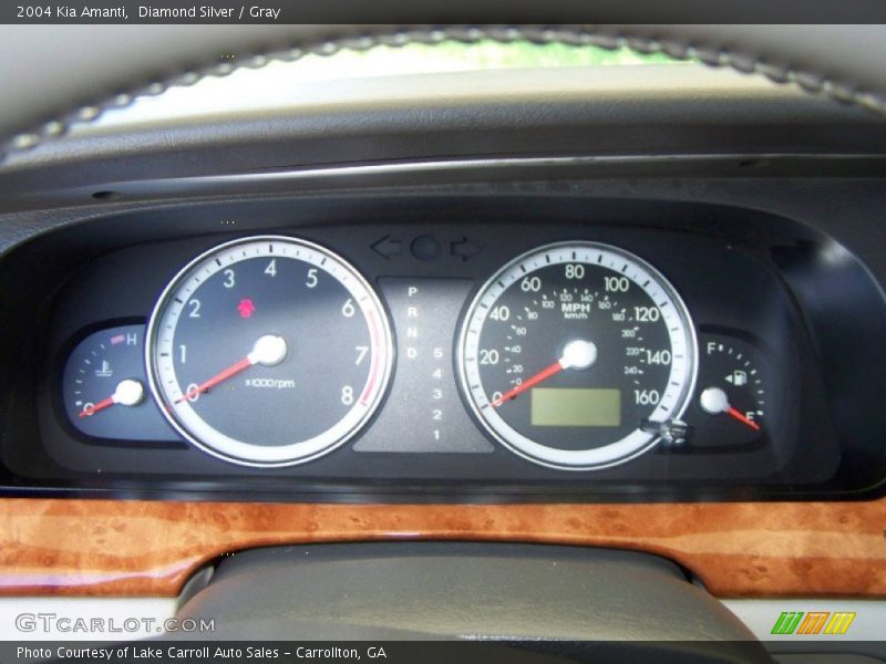 Diamond Silver / Gray 2004 Kia Amanti