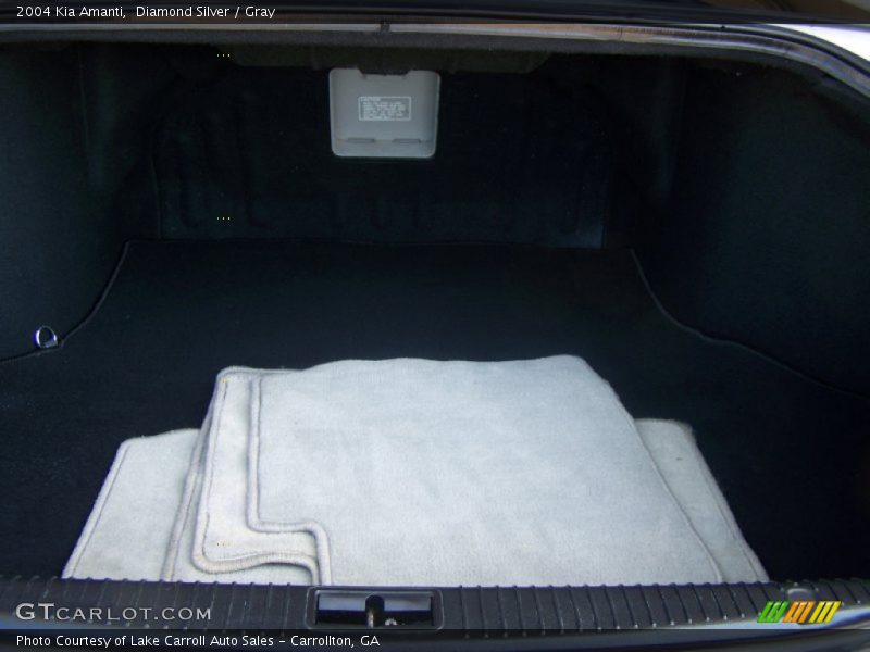 Diamond Silver / Gray 2004 Kia Amanti
